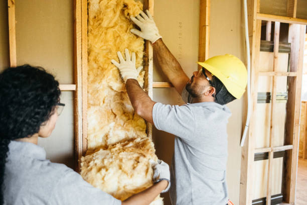 Types of Insulation We Offer in Champion Heights, OH